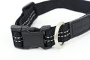 Masterpiece for collar pets MASTER-PIECE