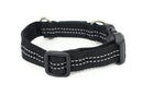 Masterpiece for collar pets MASTER-PIECE