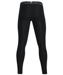 レギンス アンダーアーマー UNDER ARMOUR 日本正規品