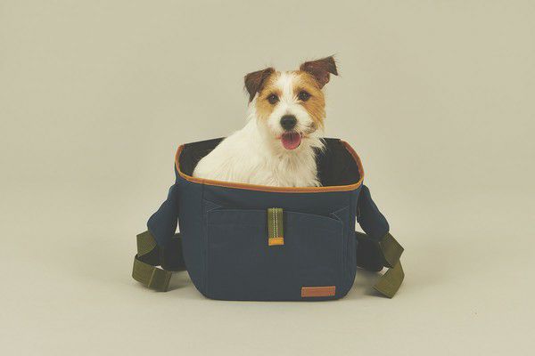 Pet Carry Bag Masterpiece MASTER-PIECE