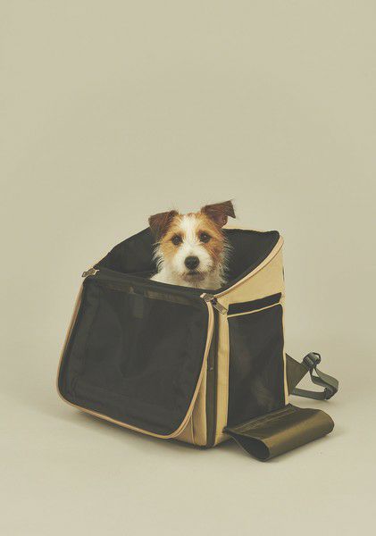 Pet Carry Bag Masterpiece MASTER-PIECE