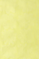 女子布鲁森玛丽·克莱尔（Marie Claire）运动高尔夫服装