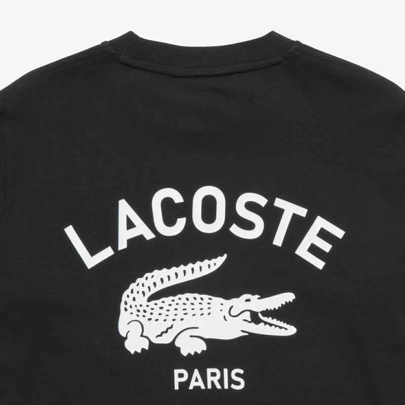 T-衬衫男士Lacoste Lacoste日本正版2024秋季 /冬季新