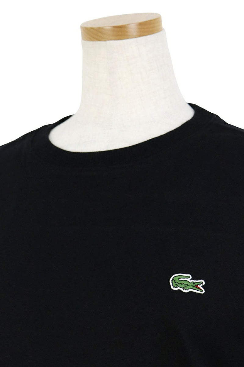 Tシャツ レディース ラコステ LACOSTE 日本正規品 2025 春夏 新作