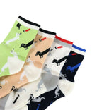 ショート丈ソックス レディース ピッコーネクラブ PICONE CLUB  ゴルフ