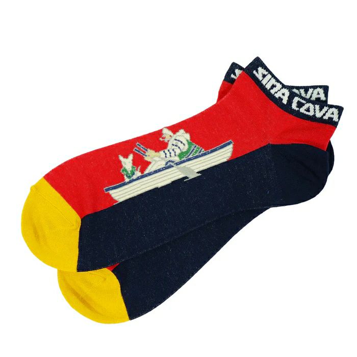 Men's Socks SINACOVA 2025 Spring/Summer New