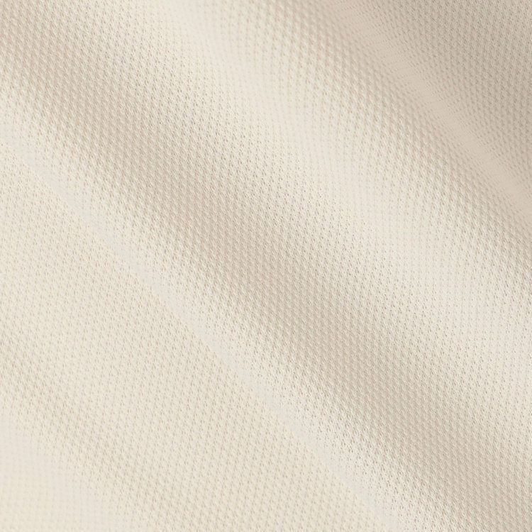 High neck shirt for men, briefing golf, BRIEFING GOLF 2025, autumn/winter, new golf wear