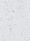 Men's polo shirt Bridgestone Golf BRIDGESTONE GOLF 2025 Fall/Winter New Golf Wear