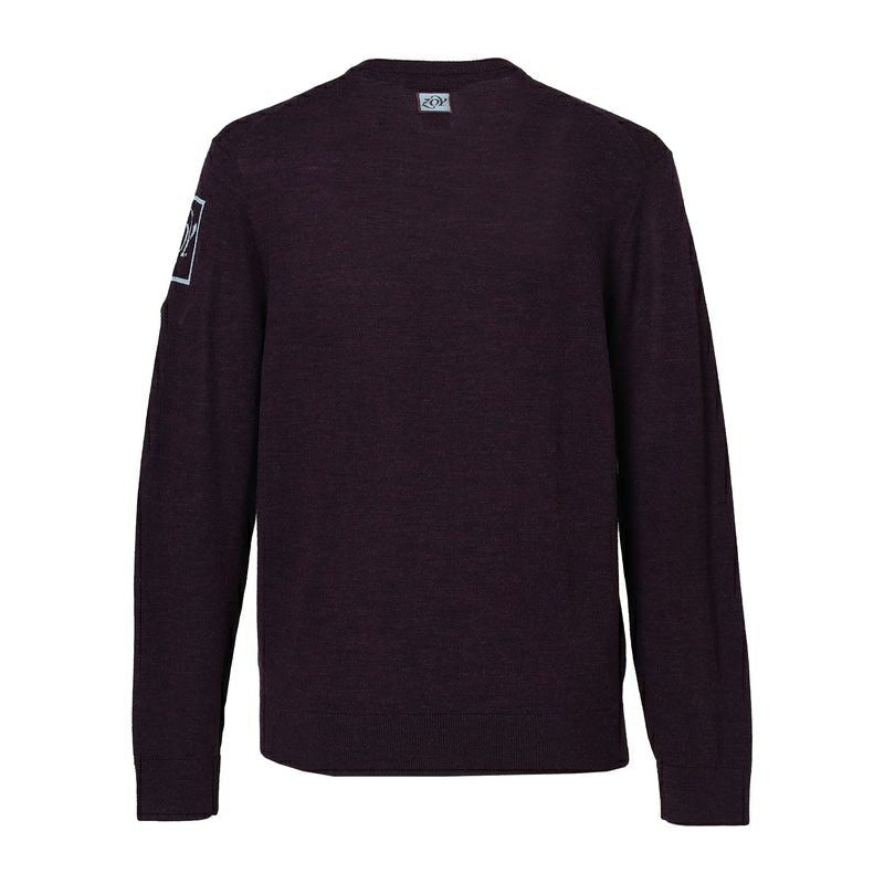 Men's sweater Zoy ZOY 2025 Autumn/Winter New Golf Wear