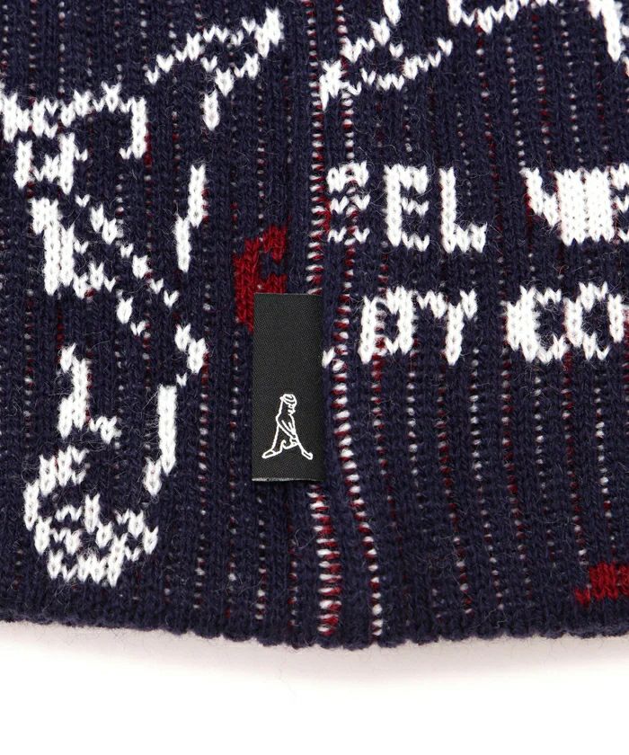 ニット帽 メンズ レディース ピン PING 2025 秋冬 新作 ゴルフ