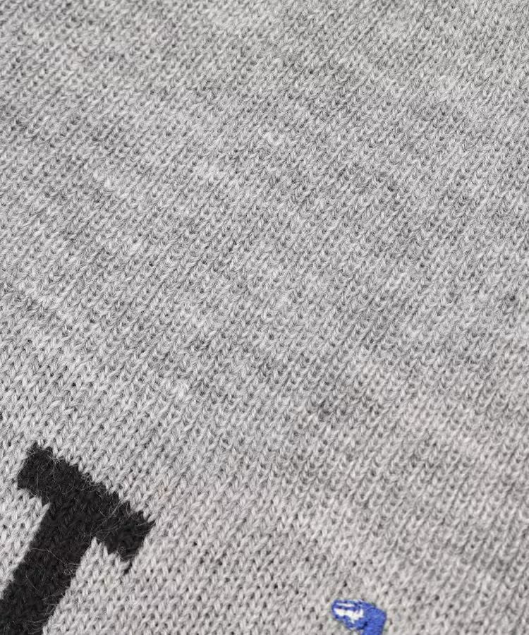 ニット帽 メンズ アダバット adabat 2025 秋冬 新作 ゴルフ