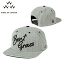 콘도르의 캡 조류 일본 진짜 조류 콘도르