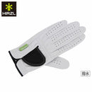 グローブ ハーツェル HIRZL 日本正規品