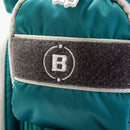 캐디 백 브리핑 골프 브리핑 골프