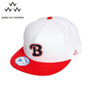 콘도르의 캡 조류 콘도의 조류 일본 진짜 골프