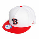 콘도르의 캡 조류 콘도의 조류 일본 진짜 골프