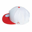 콘도르의 캡 조류 콘도의 조류 일본 진짜 골프